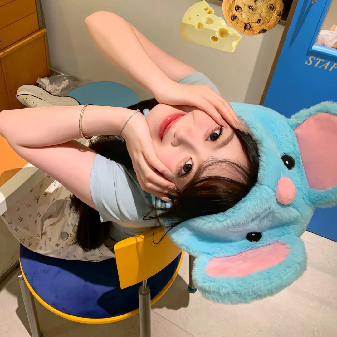 没好死封面
